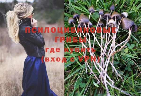apvp Бородино