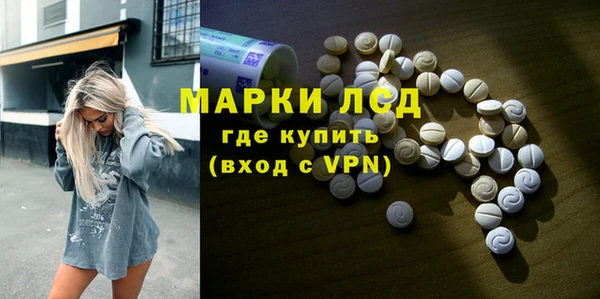 apvp Бородино