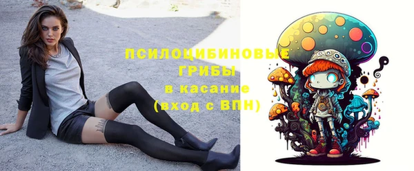 apvp Бородино