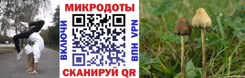 Галлюциногенные грибы мицелий  MEGA вход  Грязовец 